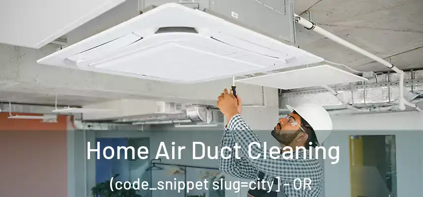  Home Air Duct Cleaning (code_snippet slug=city] - OR