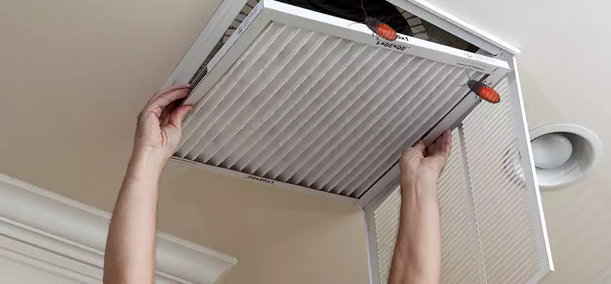 Preventive Cockroach-Proofing for Ducts in Redmond
