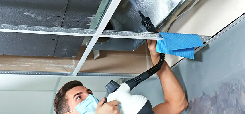 Our Air Duct Rodent Removal Services in Redmond, OR