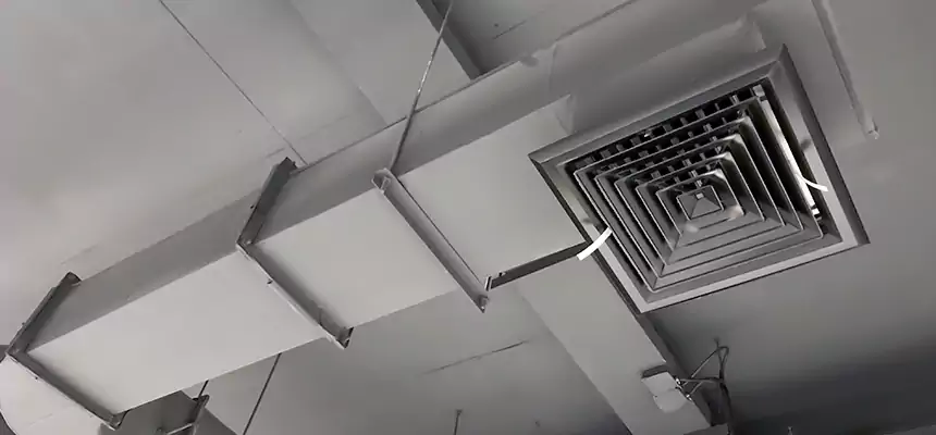 Our Pest Removal From Ducts Services in Redmond, OR