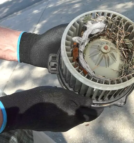 About Air Duct Mice Removal in Redmond, OR