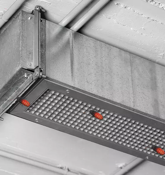 Affordable Insect Removal from Air Ducts in Redmond, OR