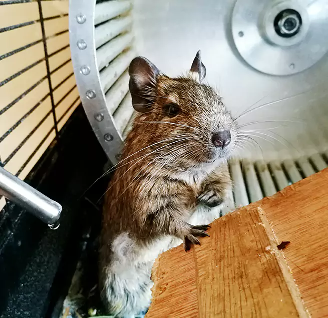 Why Homeowners & Businesses Trust Us Redmond, OR?